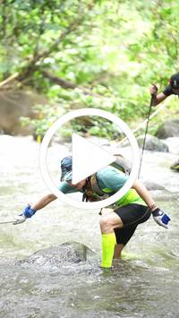 BIB:  <button type="button" onclick="openModal(26819865)" class="btn btn-primary btn-sm float-right" data-toggle="modal" data-target=".modal-high-quality">
                <i class="fa fa-download"></i> Download
                </button>